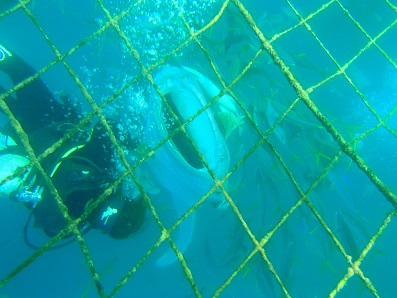 ｎ2015.3.20 (2).JPG