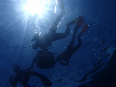 ｎ2015.5.17 (3).JPG