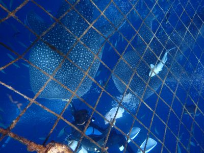 ｎ2015.7.31 (2).JPG