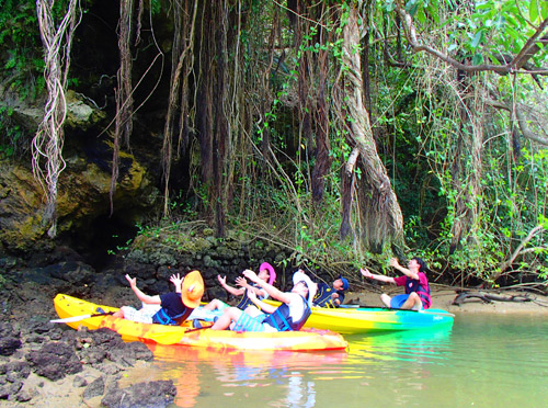 マングローブカヤック