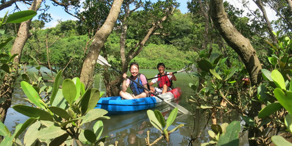 マングローブカヤック