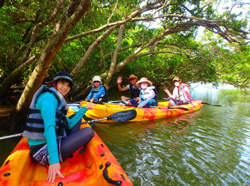 マングローブカヤックツアー