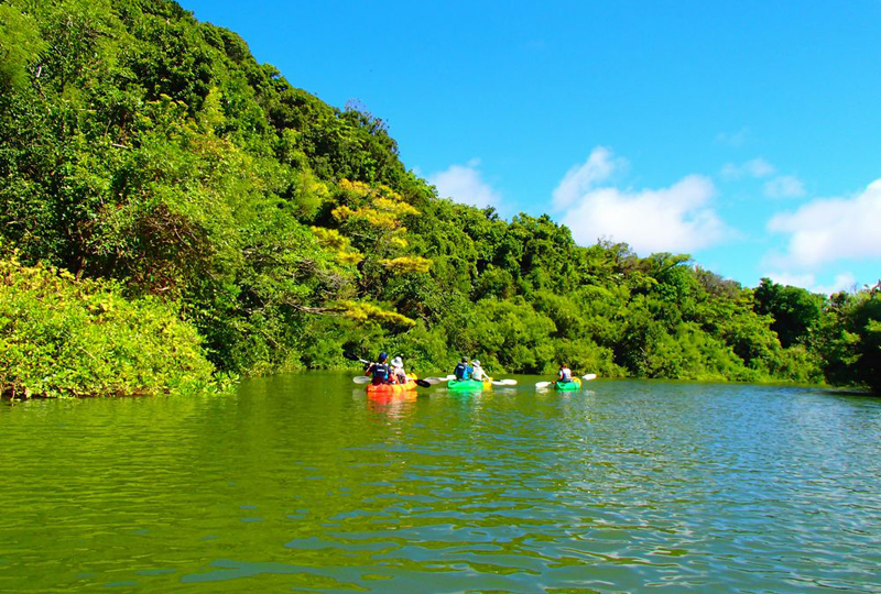 大自然を満喫できるアドベンチャーツアー。