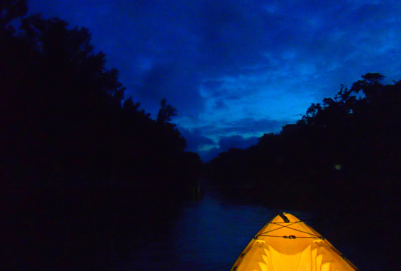 夜の比謝川での冒険をお楽しみください！