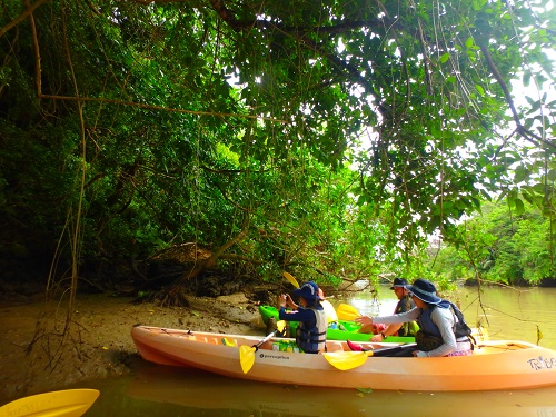 PB190033shiori00 (2).JPG