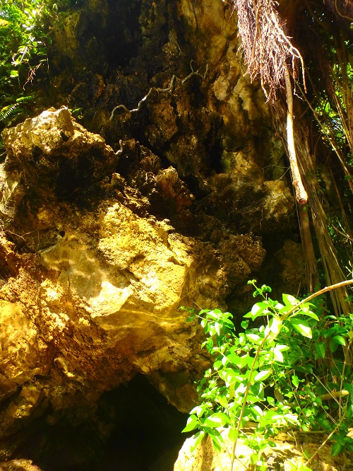 PB280029shioriii (3).JPG